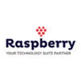 Raspberry IT Services logo